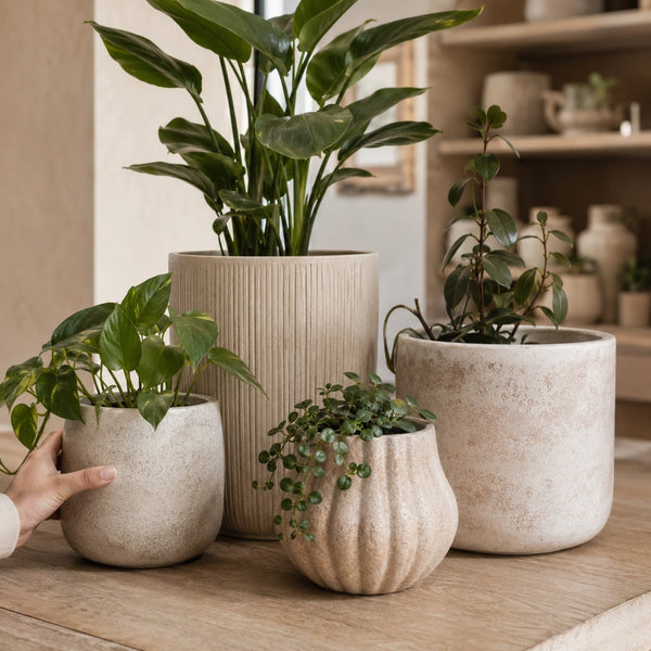 Planters & Pots