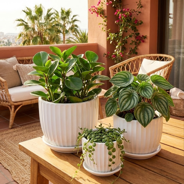 3-Piece White Ceramic Fluted Planter Pot Set