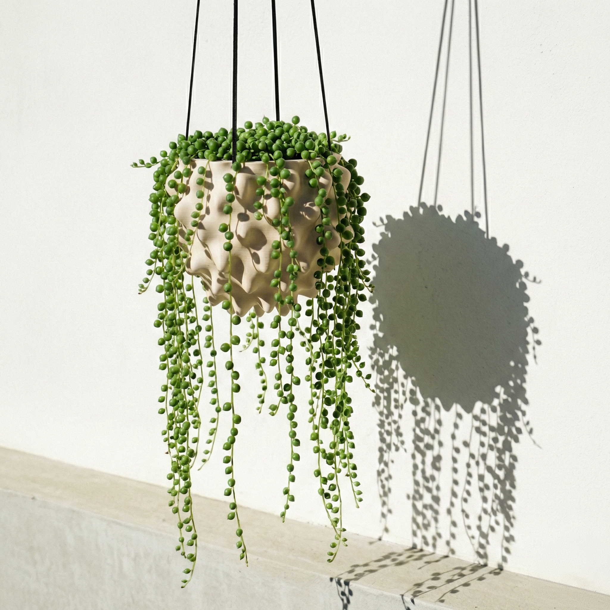 Creature Orb Hanging Planter Pot with Drainage Hole
