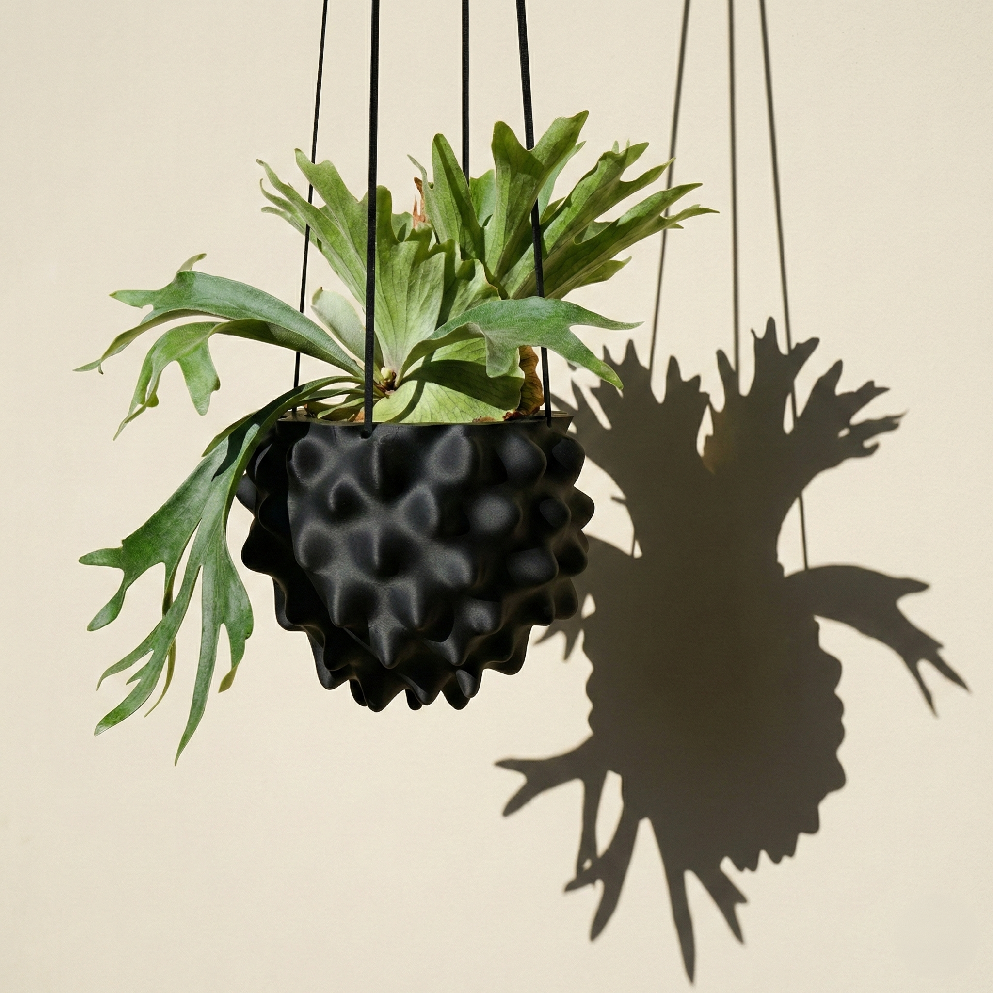 Creature Orb Hanging Planter Pot with Drainage Hole