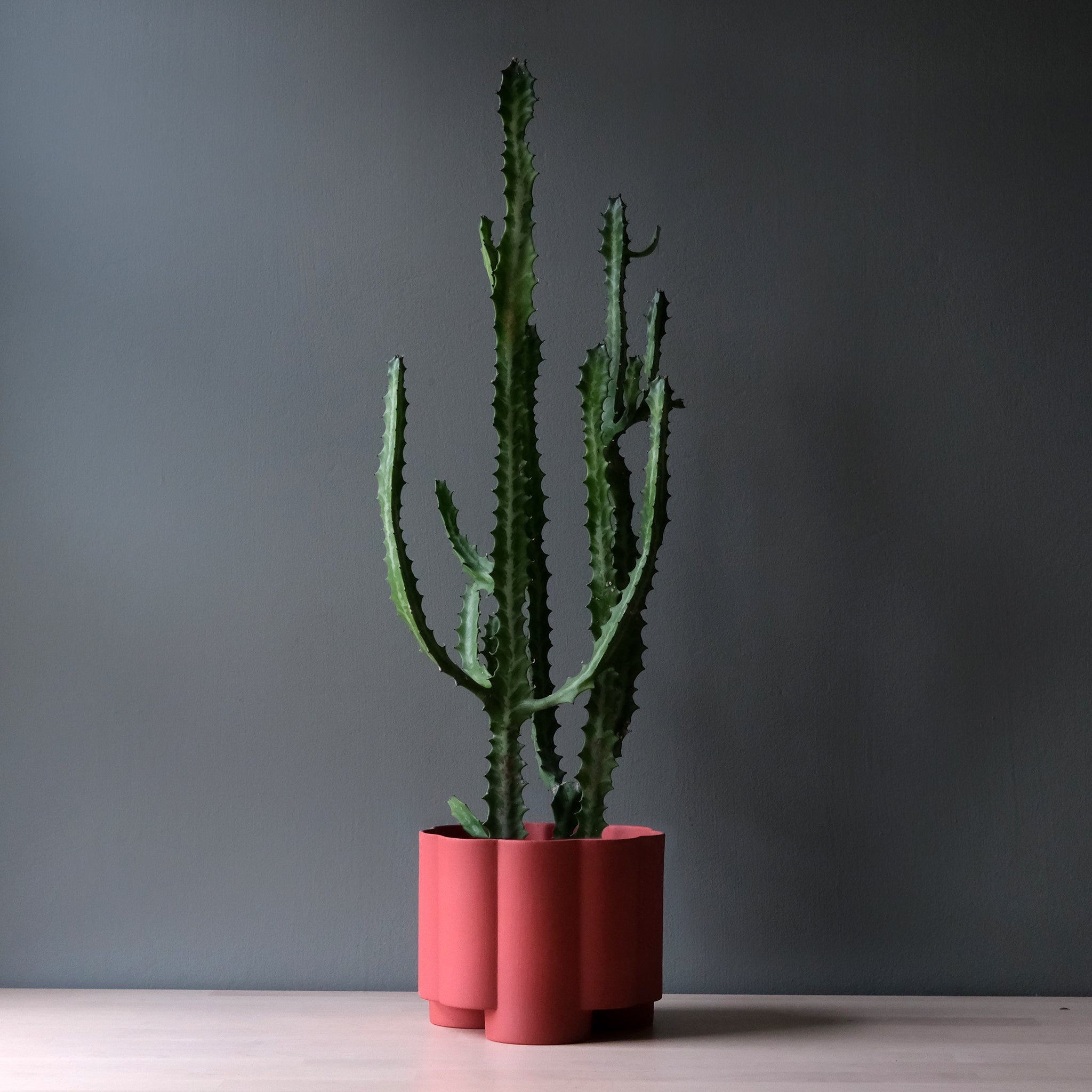 Pillar Planter Modern Decorative Indoor Outdoor Plant Pot