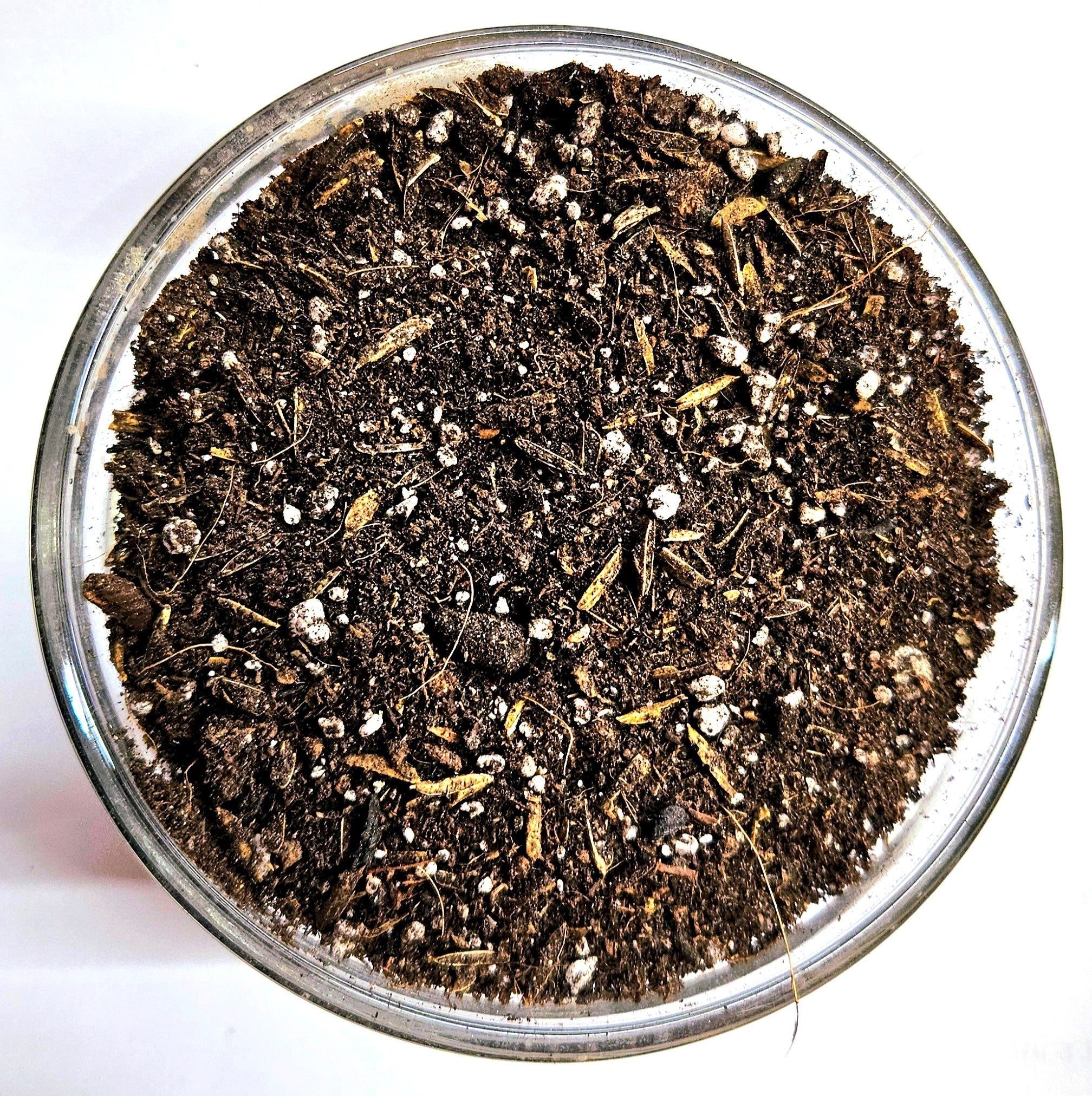 Living Soil Organic Plant Growing Medium Blend