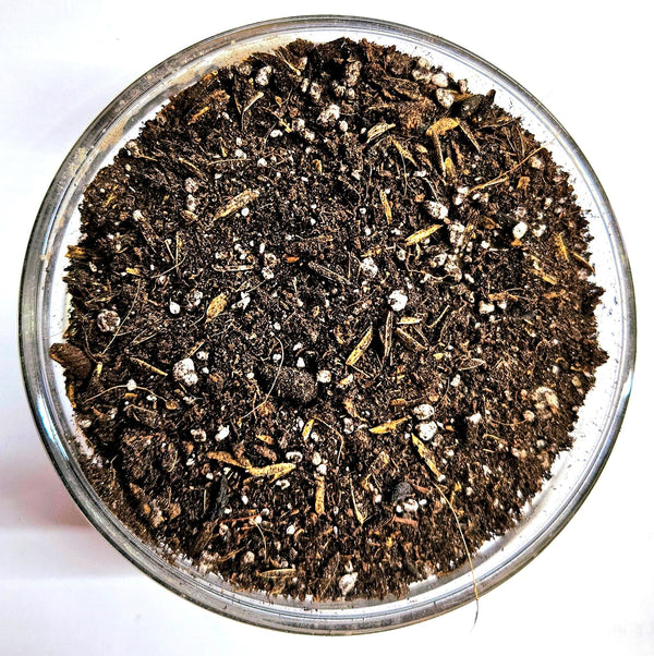 Living Soil Organic Plant Growing Medium Blend