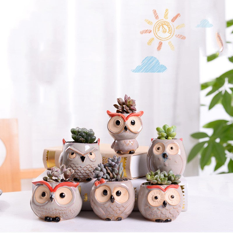 Ceramic Owl Air Plant Planter with Live Plants