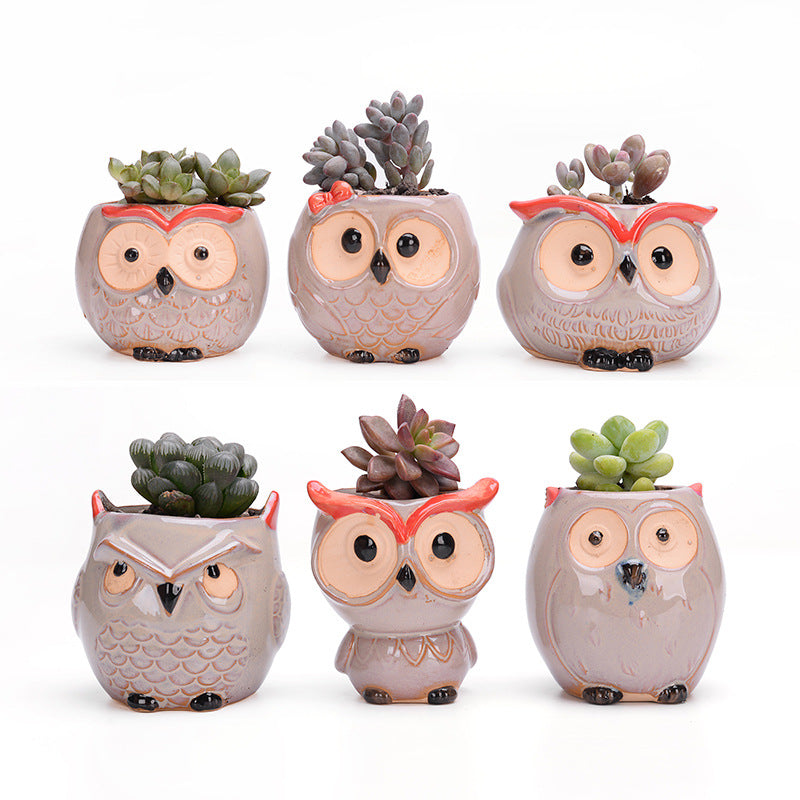 Ceramic Owl Air Plant Planter with Live Plants