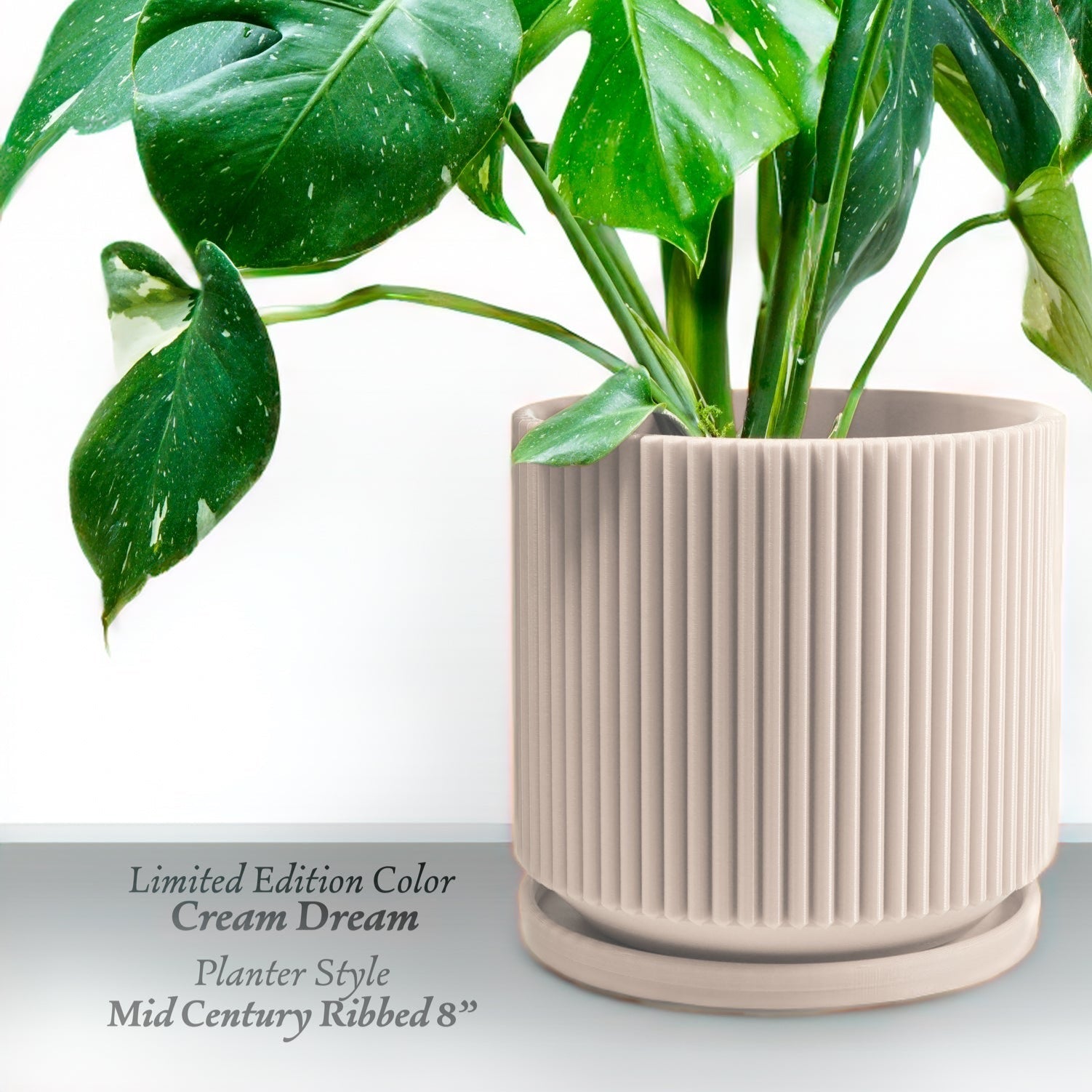 Mid-Century Ribbed Planter Modern Indoor Plant Pot