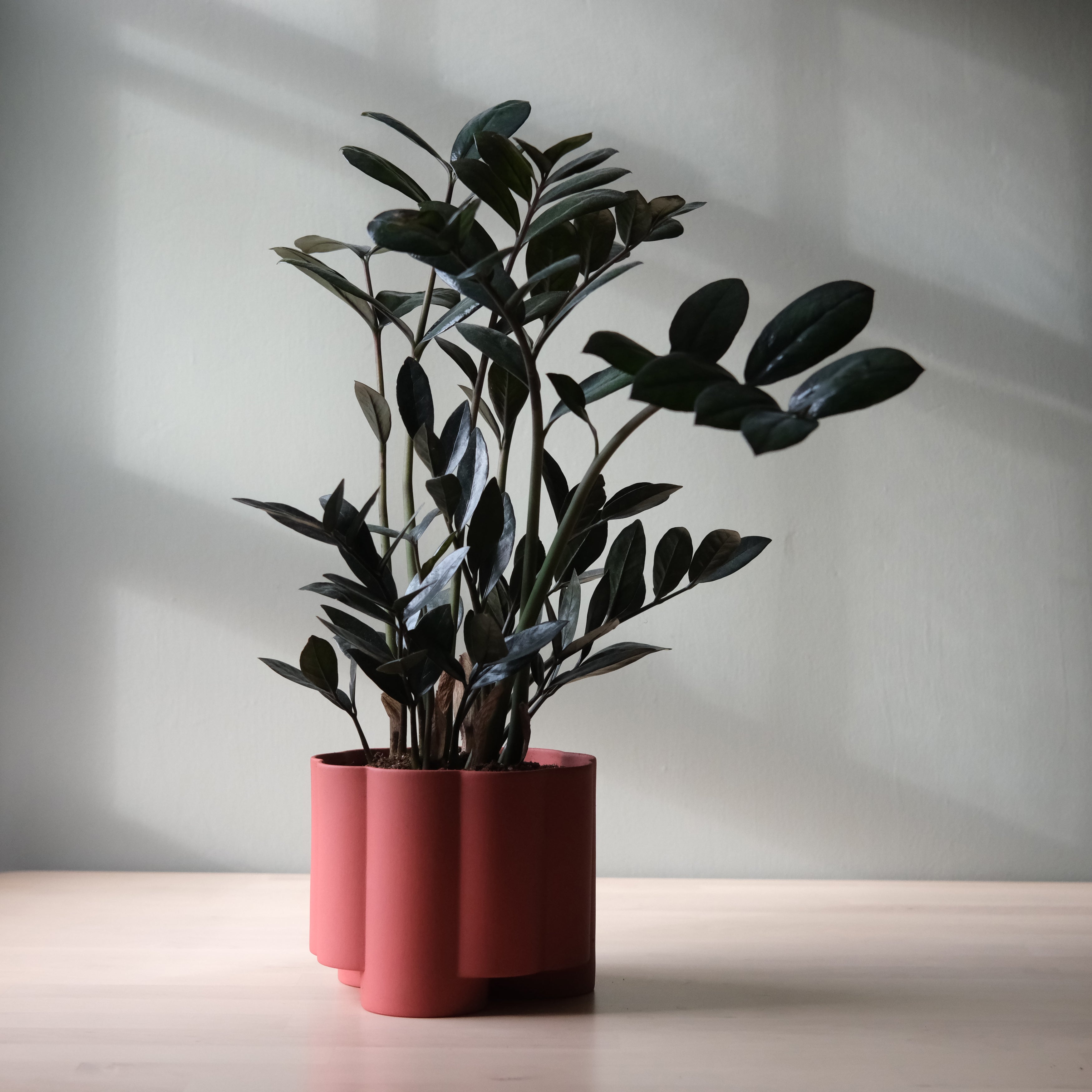 Pillar Planter Modern Decorative Indoor Outdoor Plant Pot