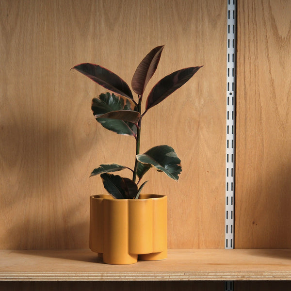 Pillar Planter Modern Decorative Indoor Outdoor Plant Pot