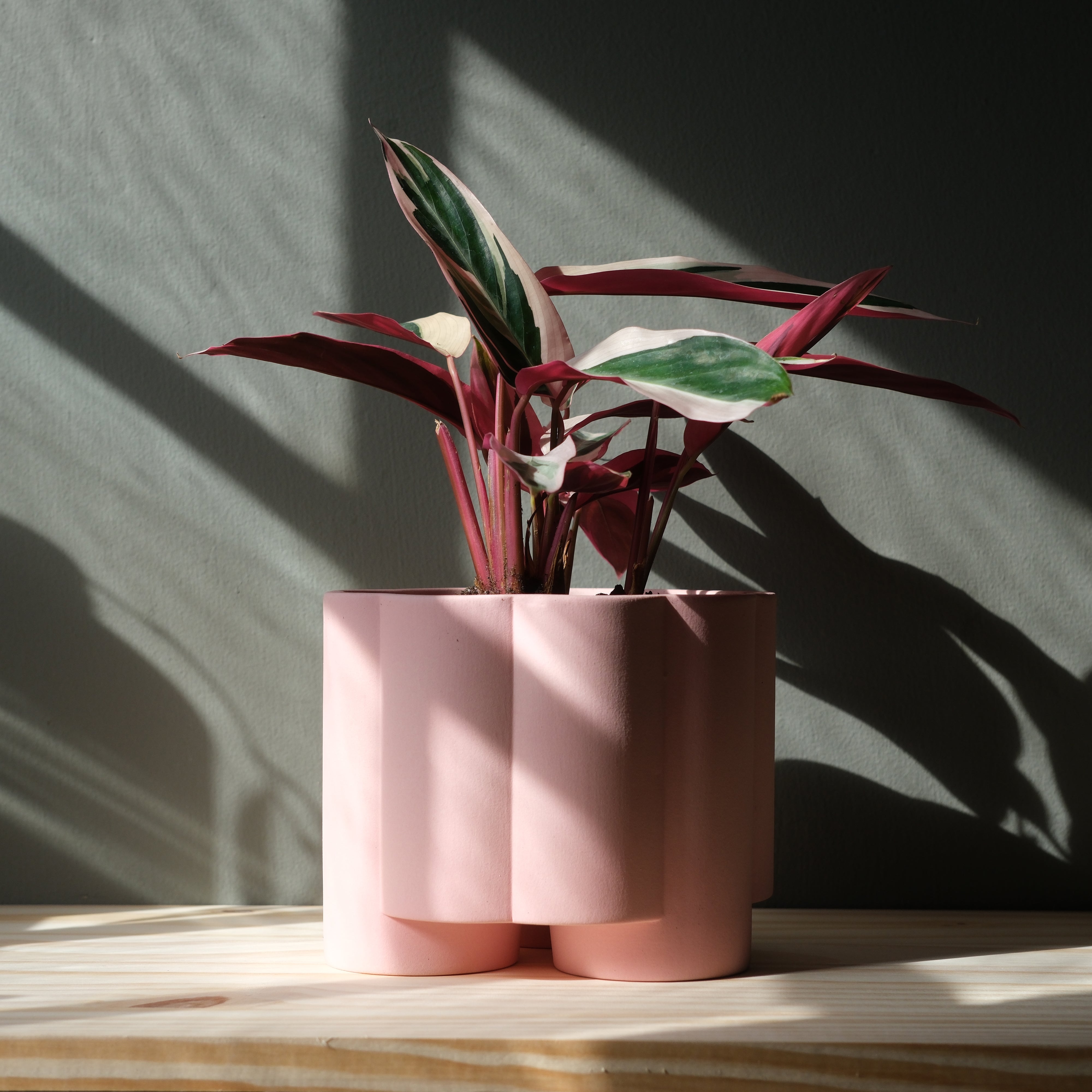 Pillar Planter Modern Decorative Indoor Outdoor Plant Pot