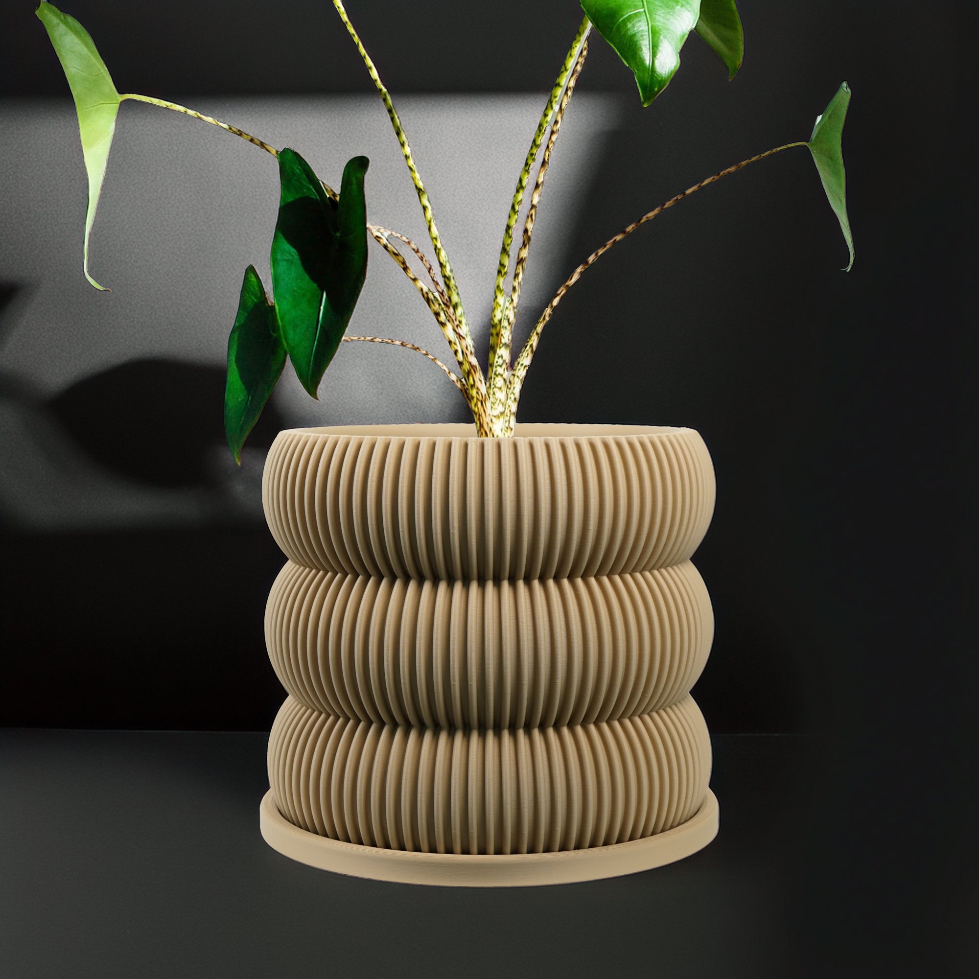 Ribbed Bubble Plant Pot With Drainage Saucer
