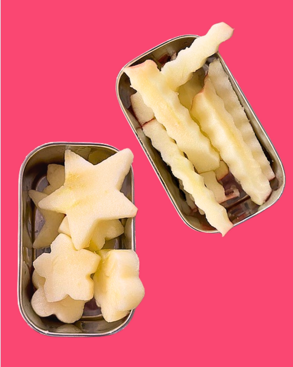 Stainless Steel Rectangle Snack Container Set of Two