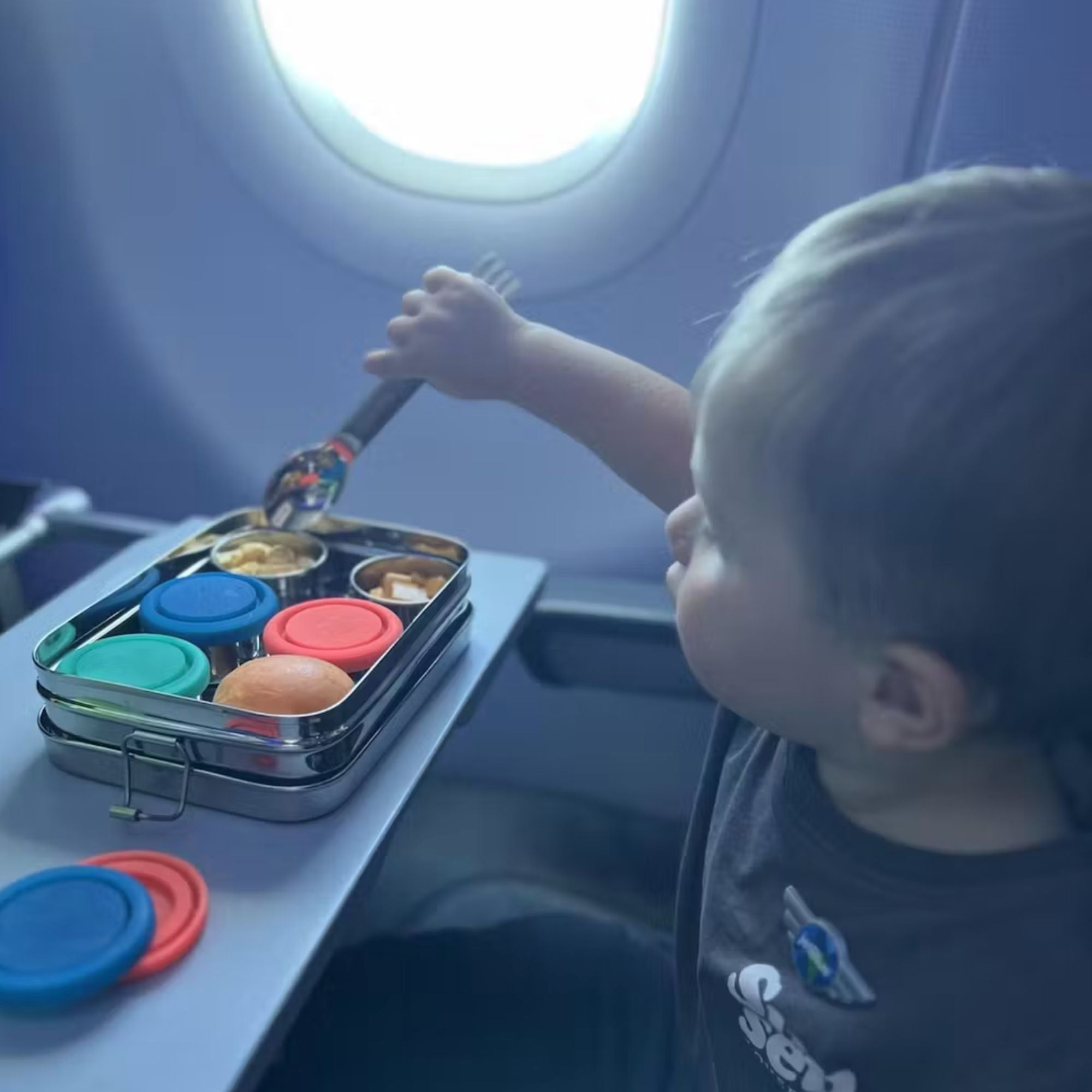 Stainless Steel Bento Snack Box for On-the-Go Meals