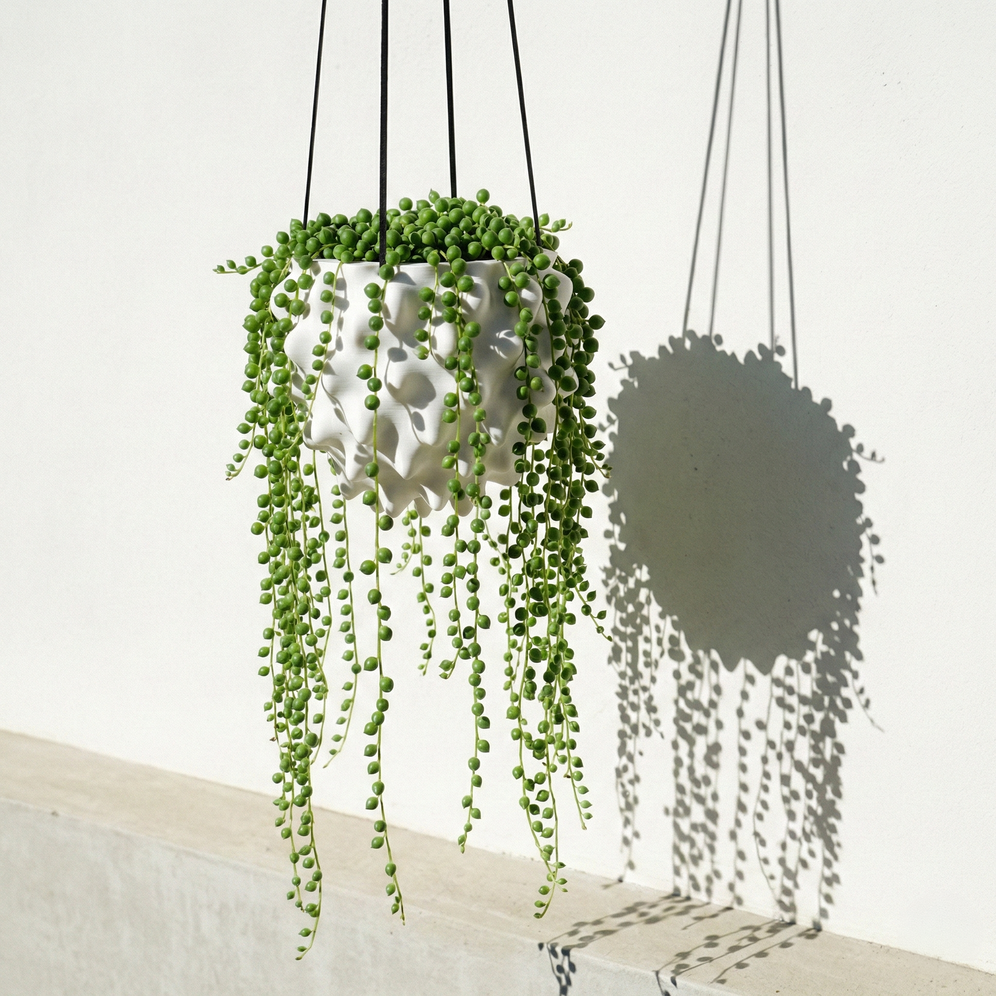 Creature Orb Hanging Planter Pot with Drainage Hole
