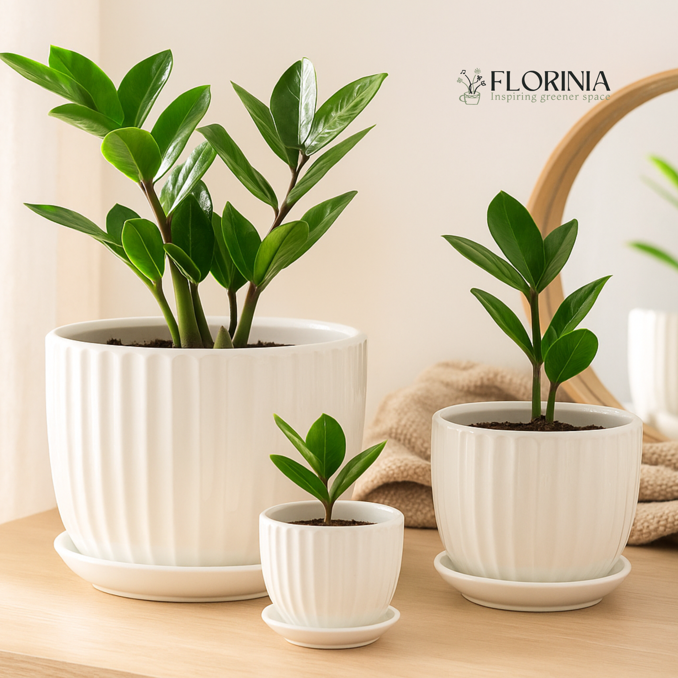3-Piece White Ceramic Fluted Planter Pot Set