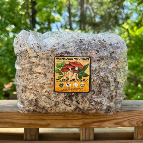 Wine Cap Living Mulch Mushroom Spawn for Gardens
