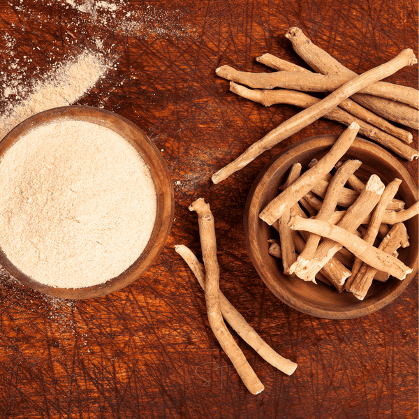 Indian Ginseng Seeds 30-Pack Herbal Plant