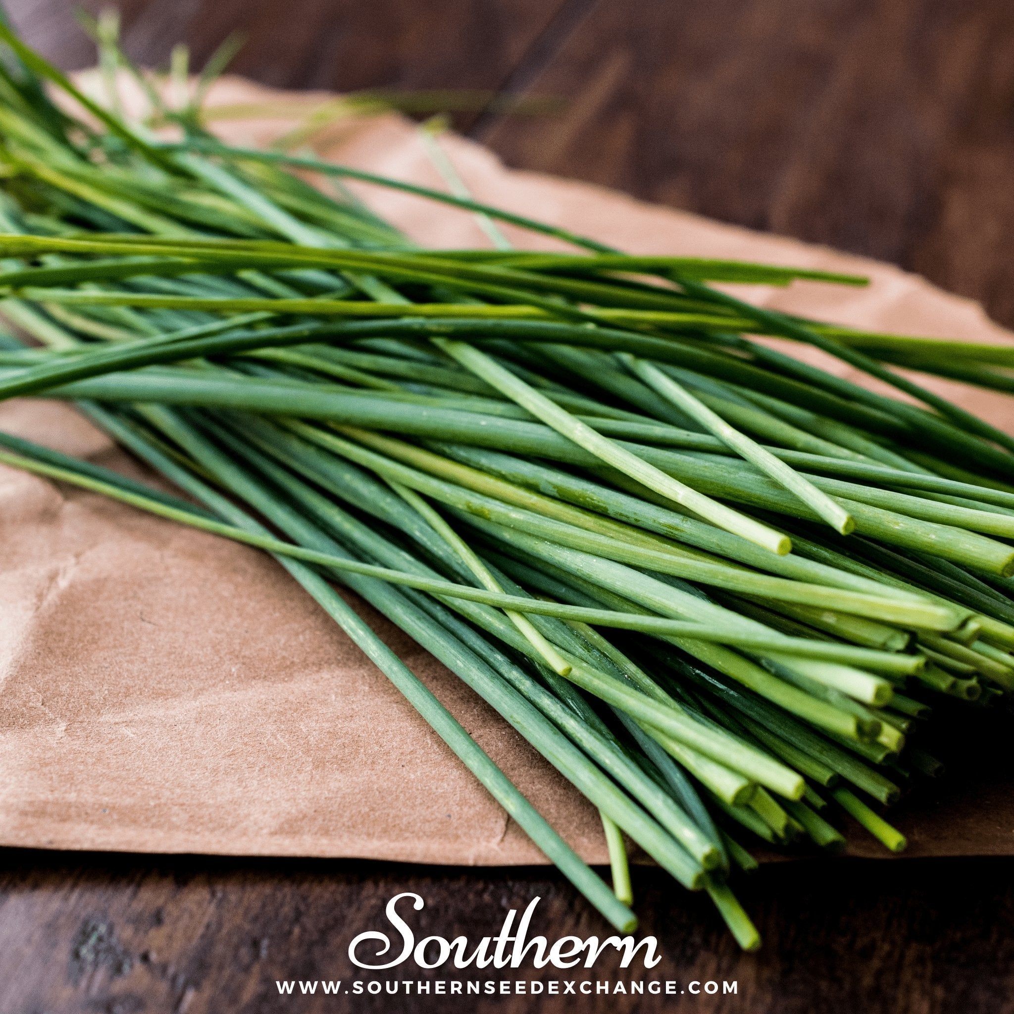 Chives Seeds 100-Pack Fresh Culinary Herb Garden