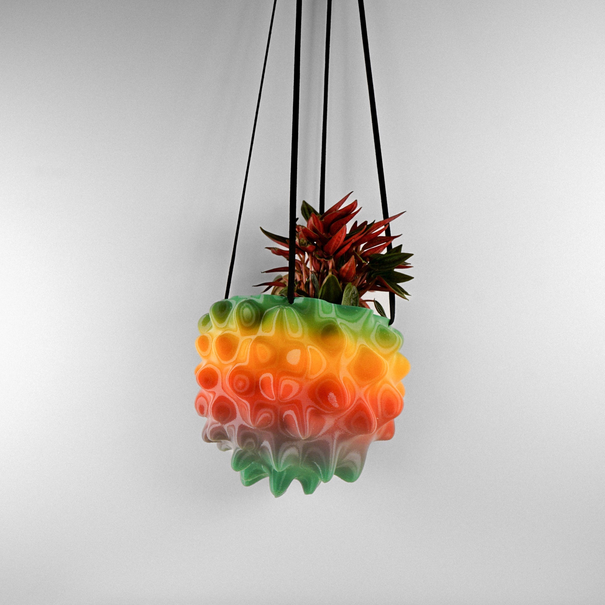 Creature Orb Hanging Planter Pot with Drainage Hole
