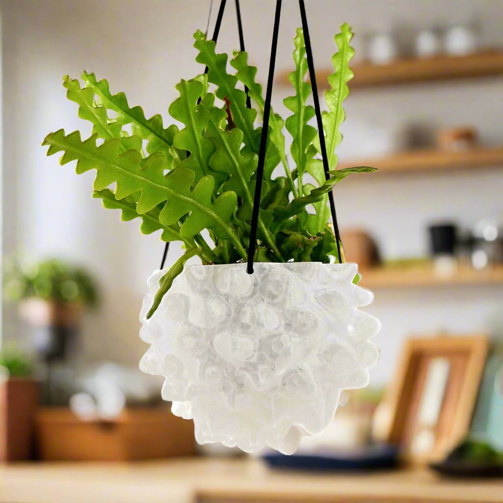 Creature Orb Hanging Planter Pot with Drainage Hole