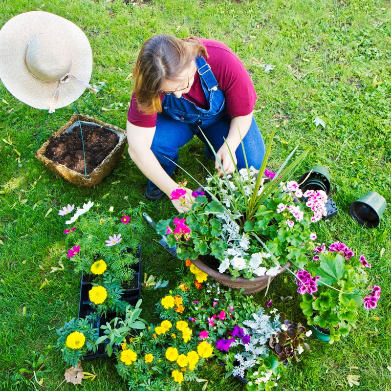 Person gardening with flowers and plants on a grassy lawn