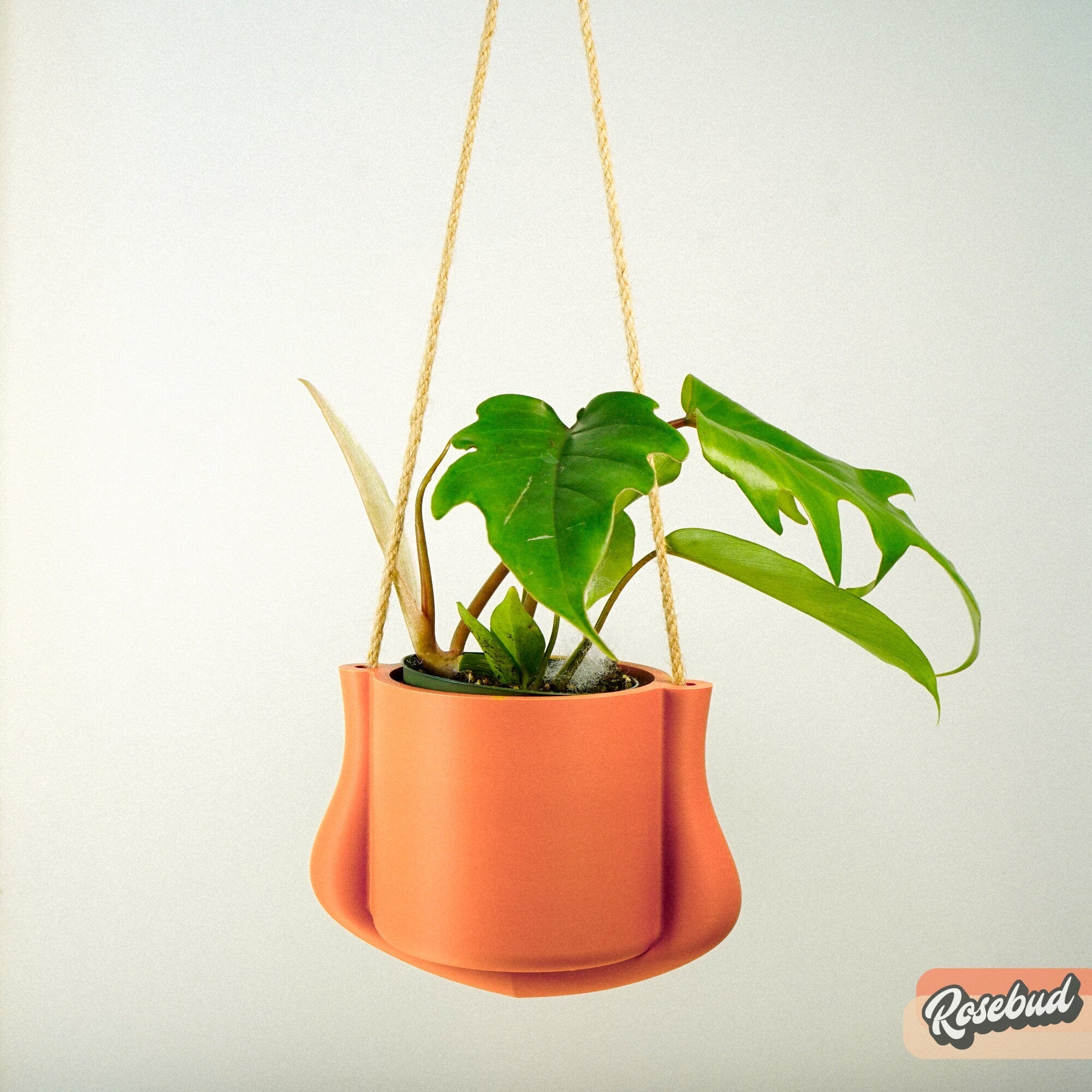 Hanging Planter Elegant Indoor Plant Holder