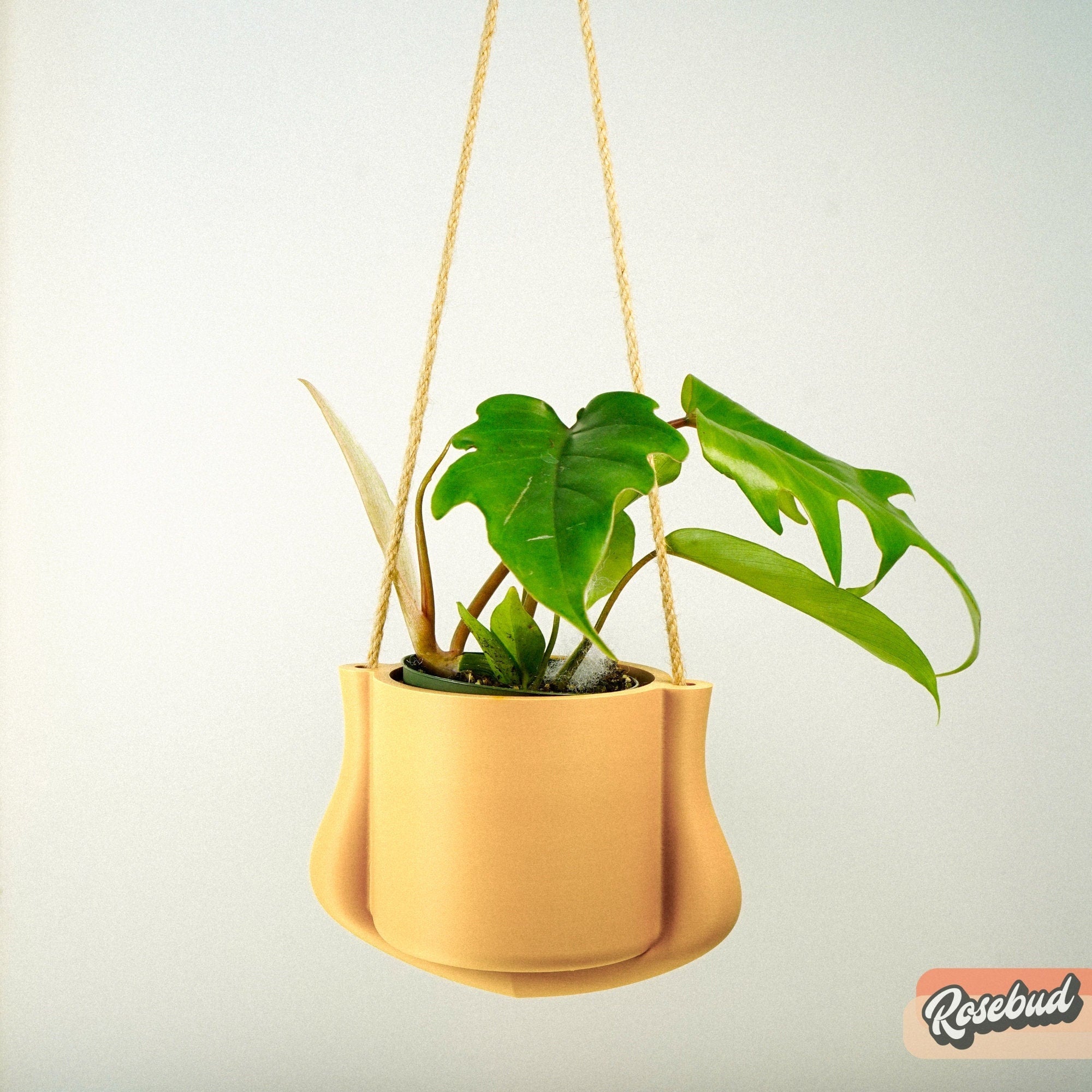 Hanging Planter Elegant Indoor Plant Holder