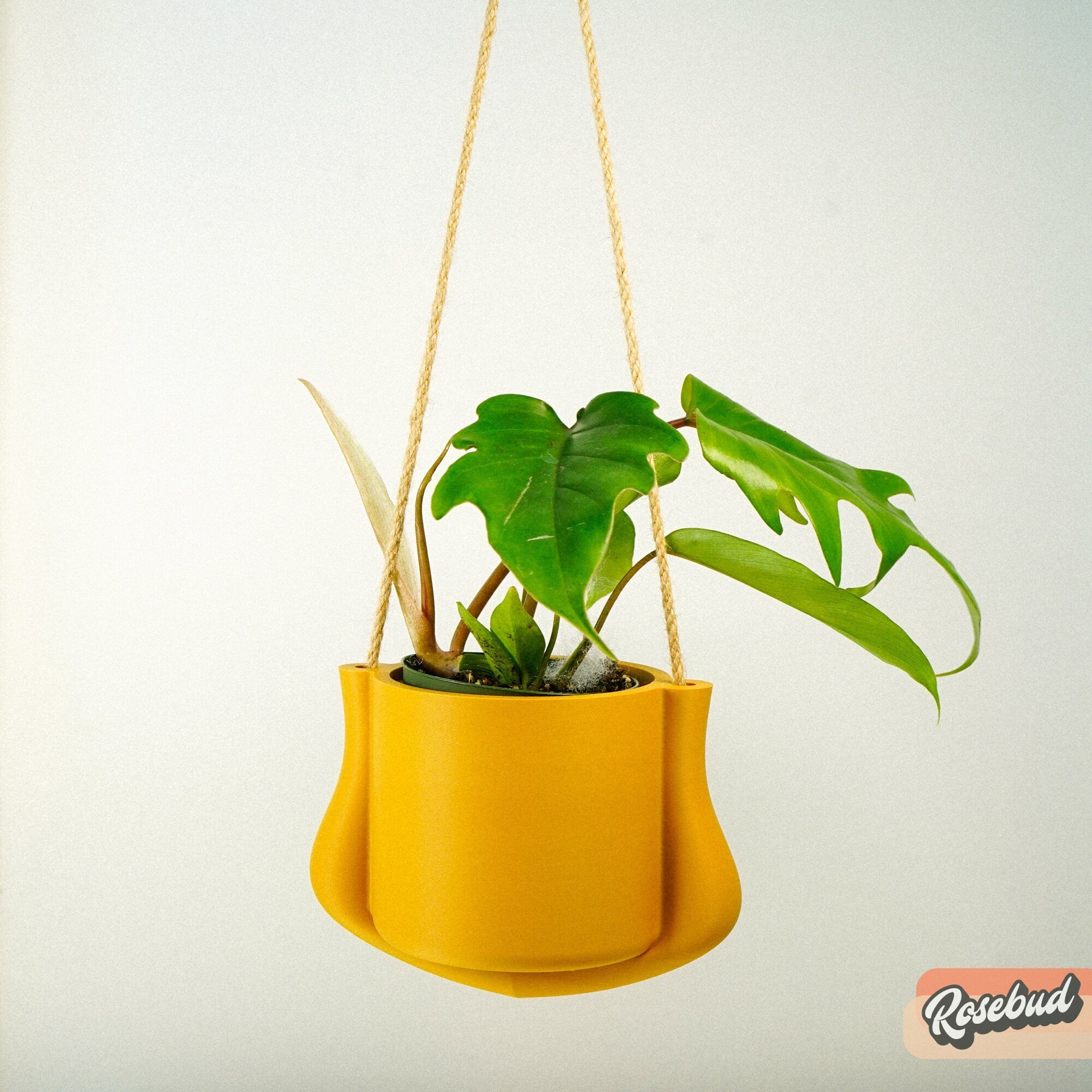 Hanging Planter Elegant Indoor Plant Holder