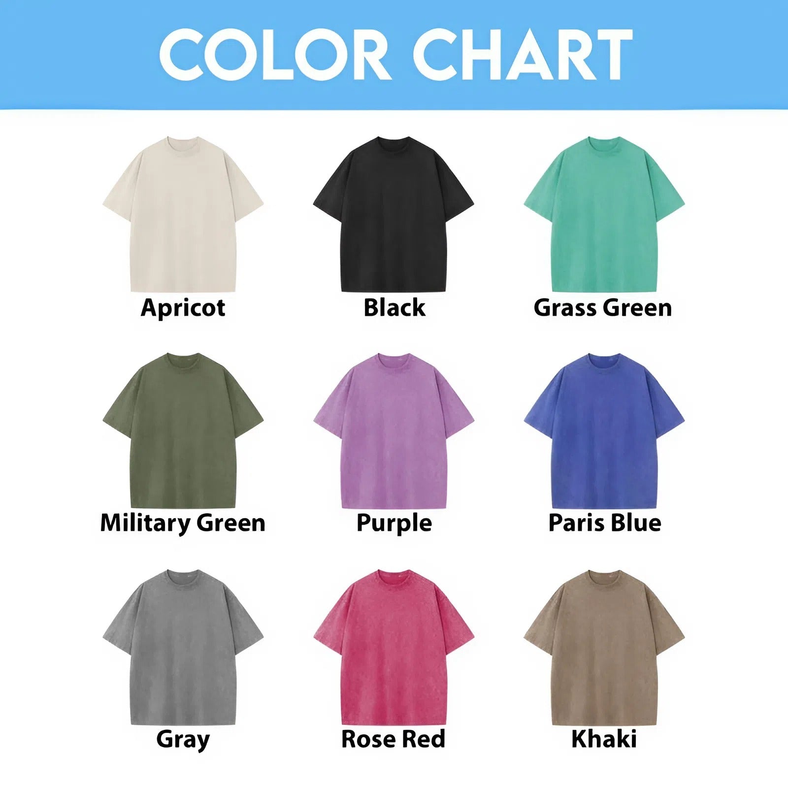 Today I'm a Serious Goose Funny T-Shirt – Men’s Vintage Washed Graphic Tee, Lightweight Sarcastic Animal Streetwear Top
