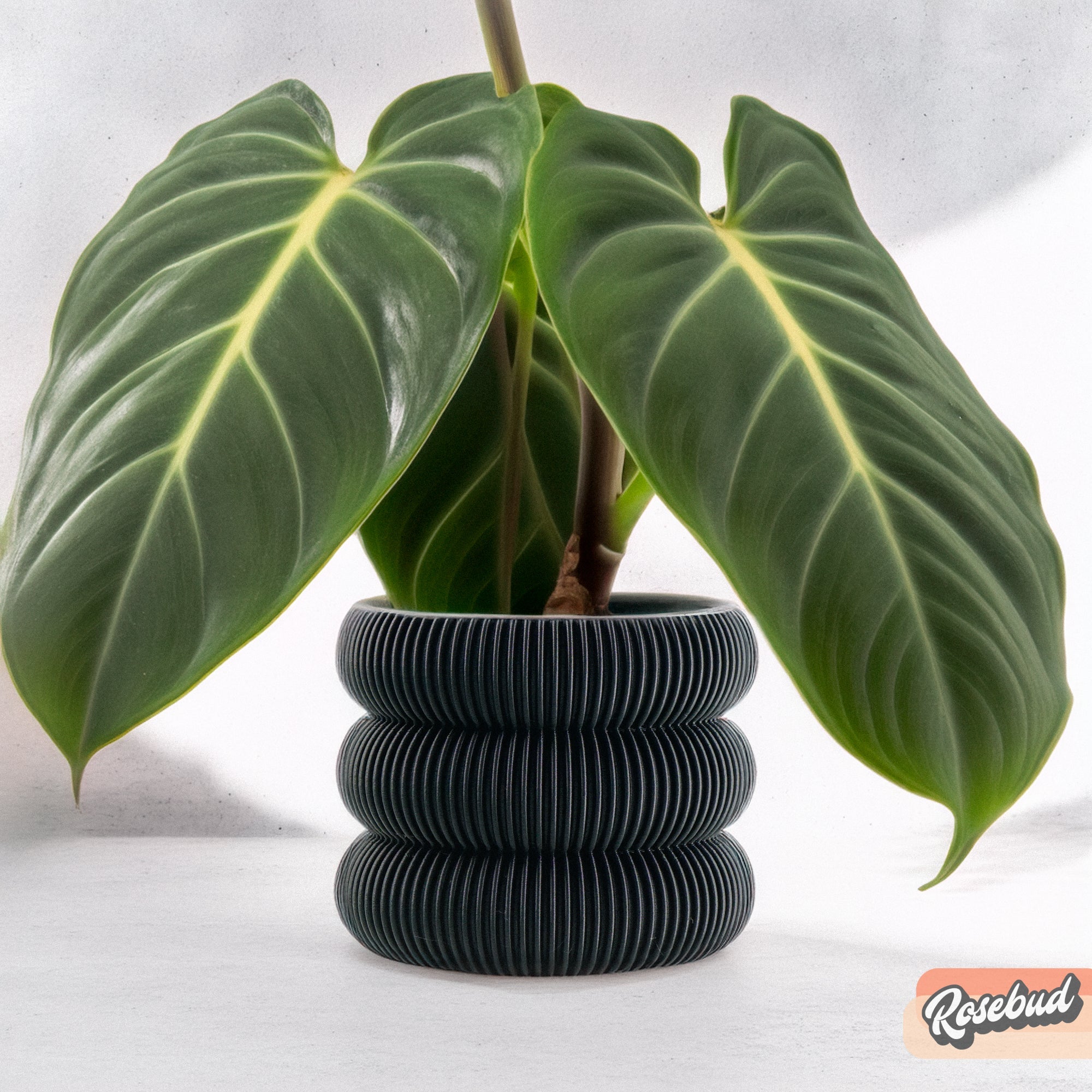 Ribbed Bubble Plant Pot With Drainage Saucer