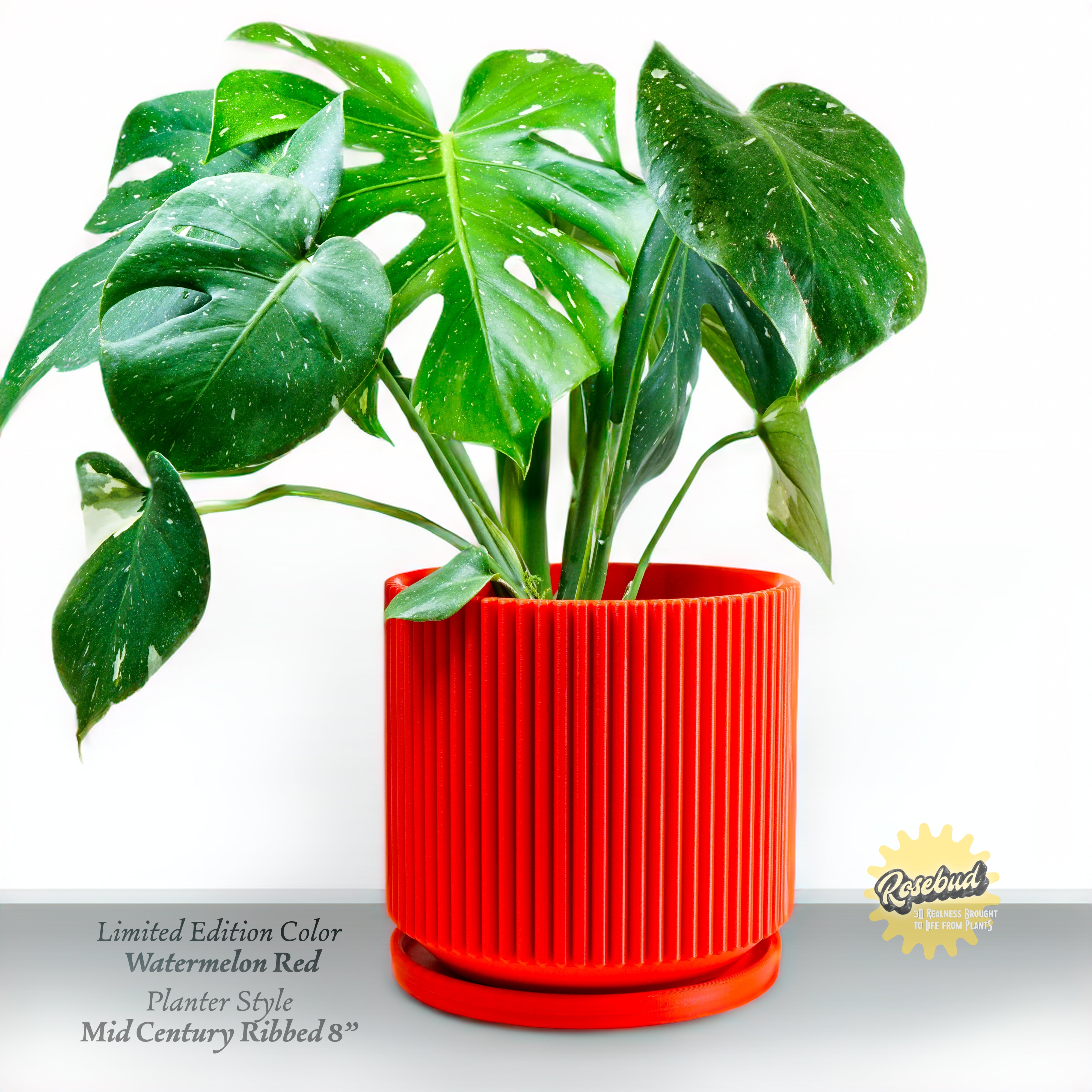 Mid-Century Ribbed Planter Modern Indoor Plant Pot