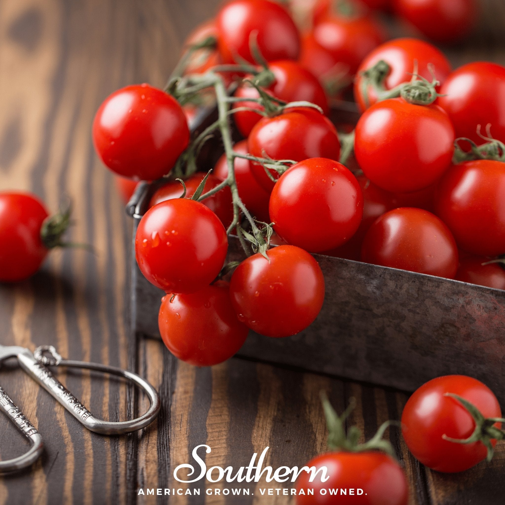 Small Red Cherry Tomato Seeds 50-Pack Garden