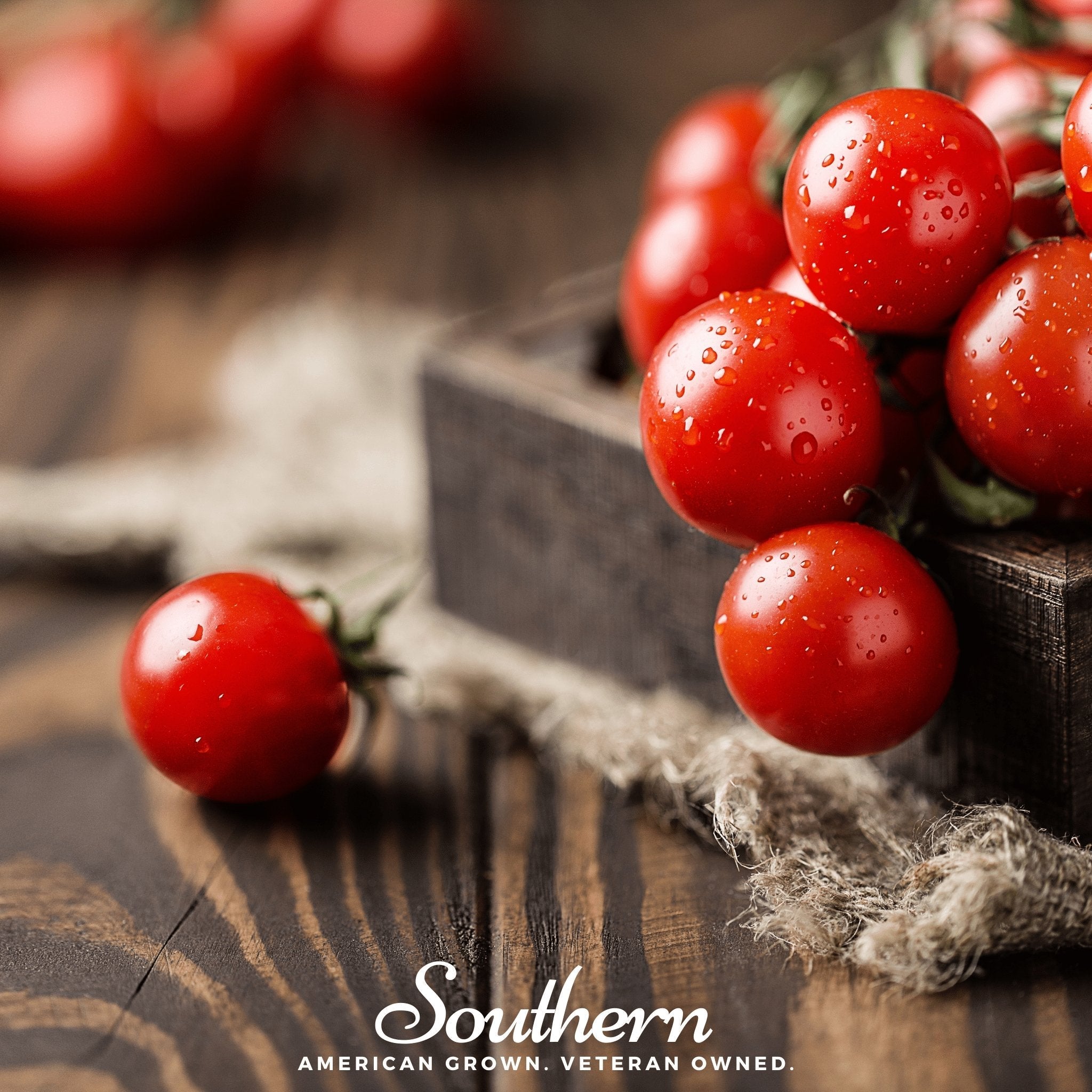 Small Red Cherry Tomato Seeds 50-Pack Garden
