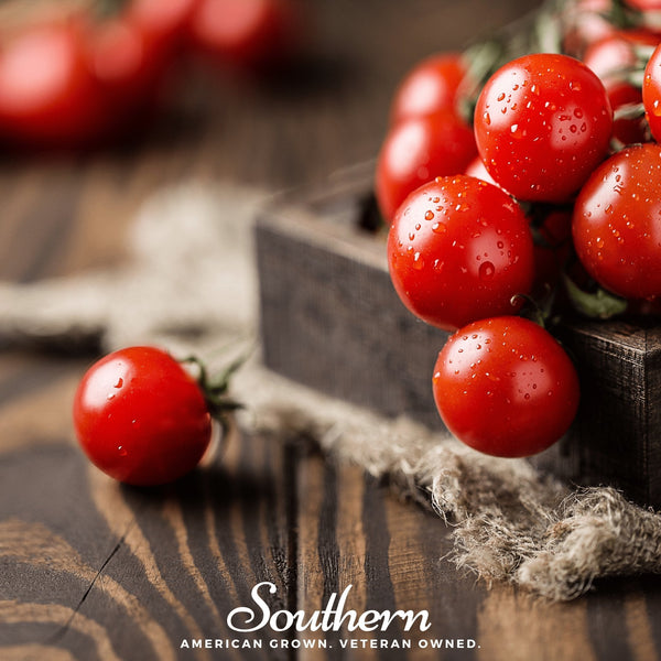 Small Red Cherry Tomato Seeds 50-Pack Garden