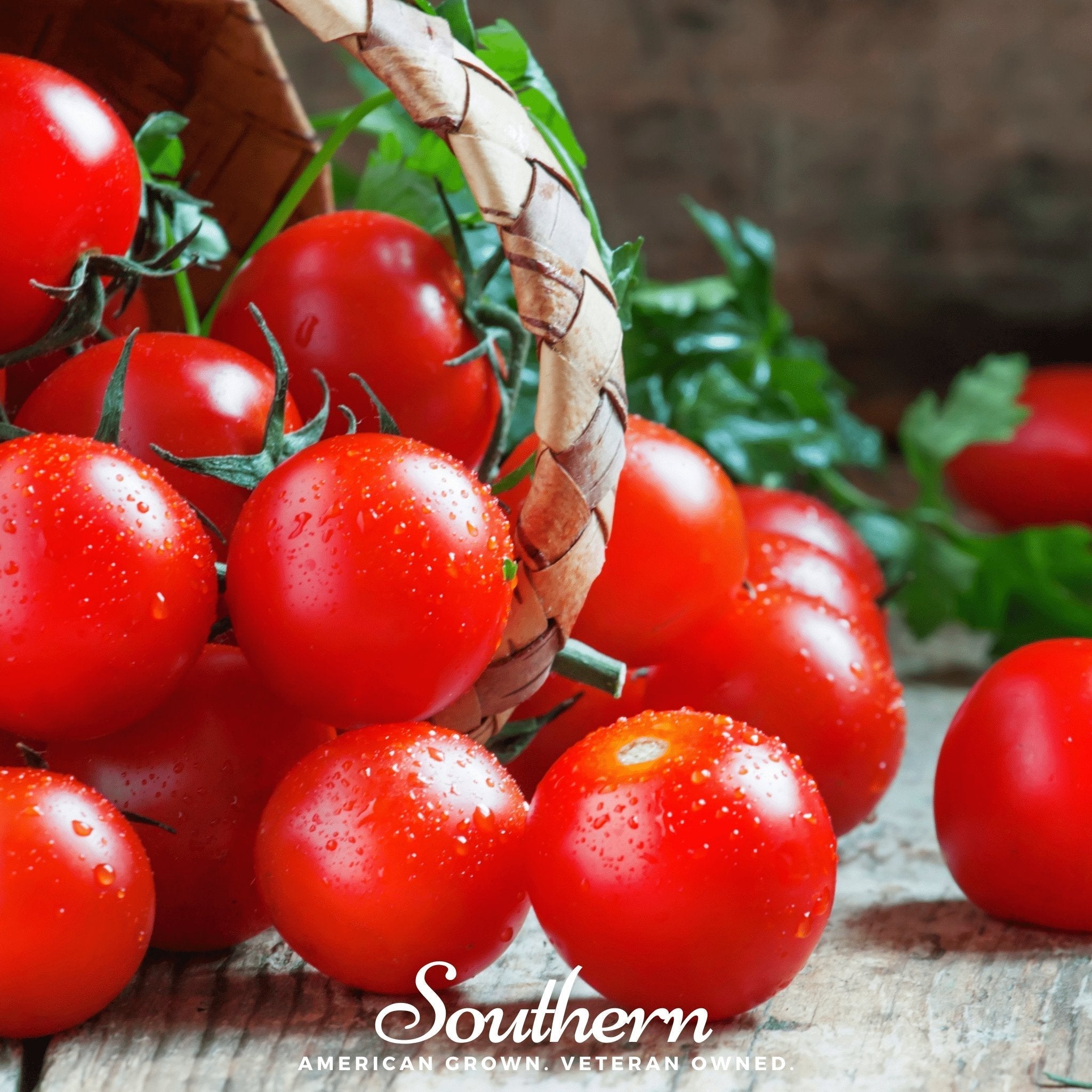 Small Red Cherry Tomato Seeds 50-Pack Garden