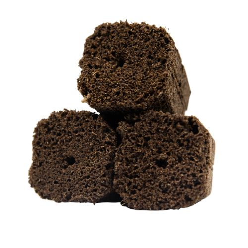 Seed and Cutting Propagation Plugs