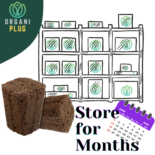 Seed and Cutting Propagation Plugs