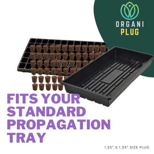 Seed and Cutting Propagation Plugs